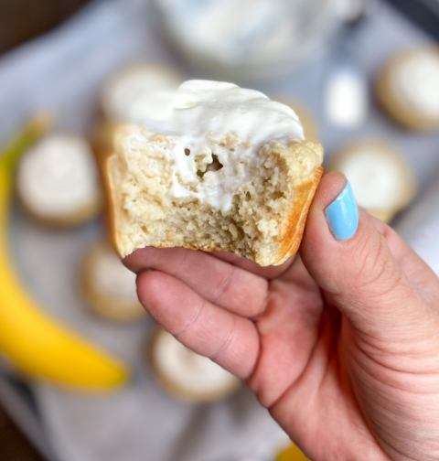 Banana Bread Protein Muffins