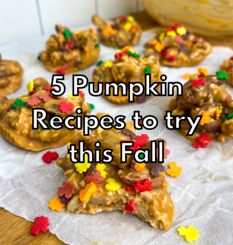 5 Pumpkin Recipes to Try This Fall