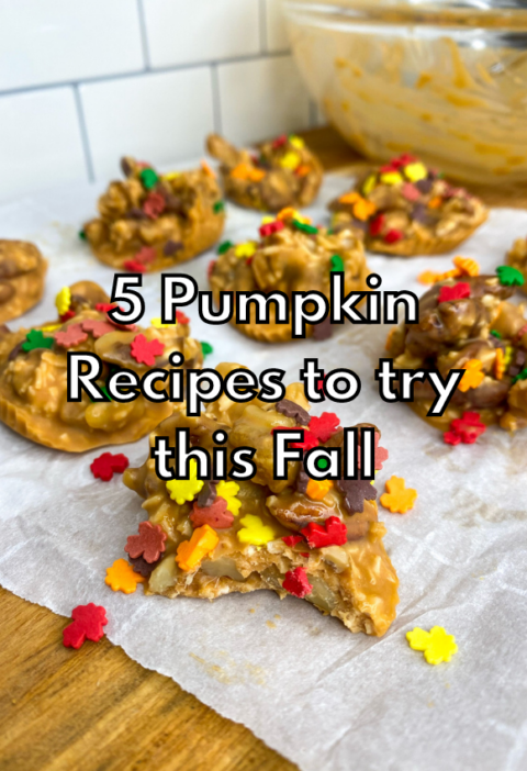 5 Pumpkin Recipes to Try This Fall
